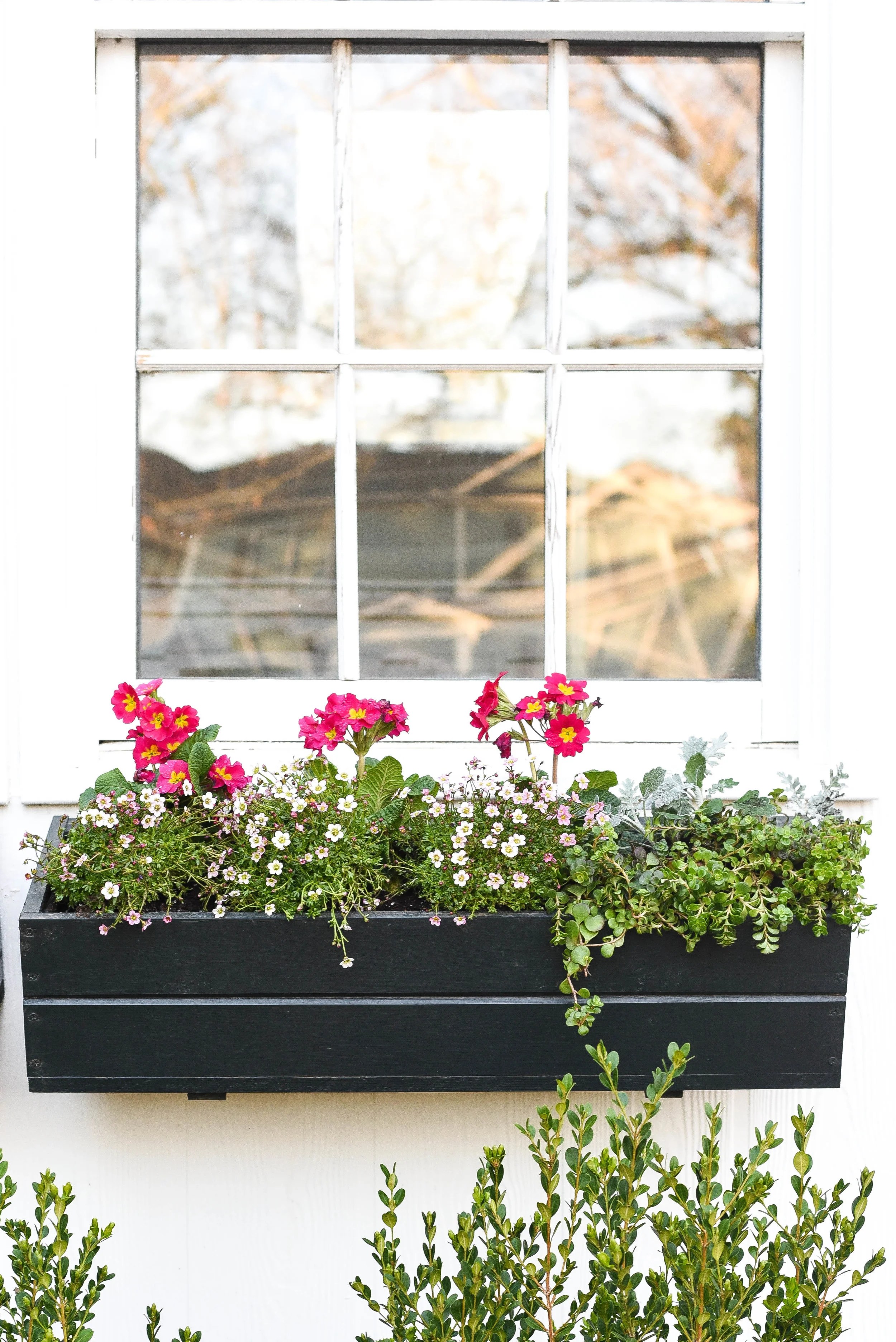 Spring Window Boxes — iron & twine