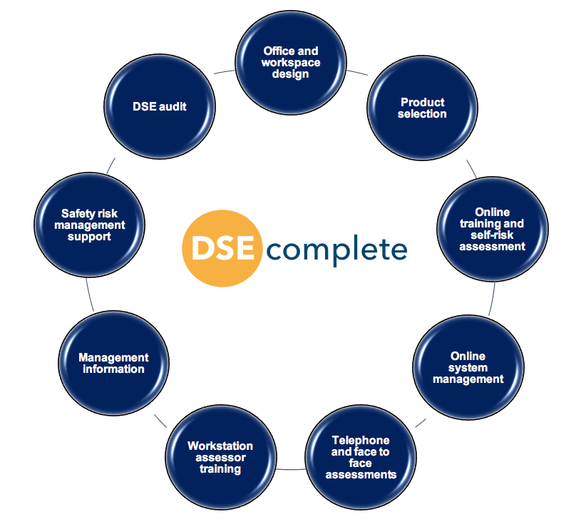 Display Screen Equipment (DSE) risk management services — Ergability