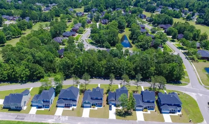 Galloway Family Homes The Hamlets in Crowfield Plantation Goose