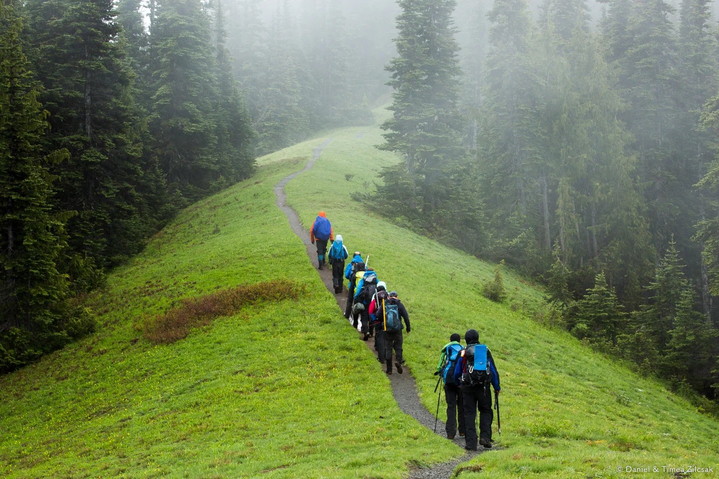 Mount Angeles A Signature Experience Near Hurricane Ridge