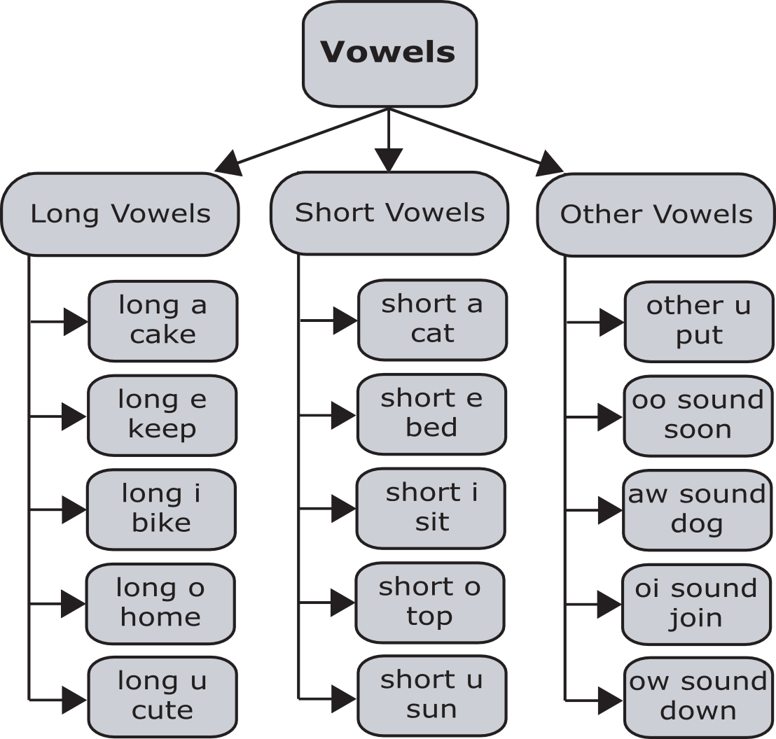 Learn How to Pronounce the 15 Vowel Sounds of American English