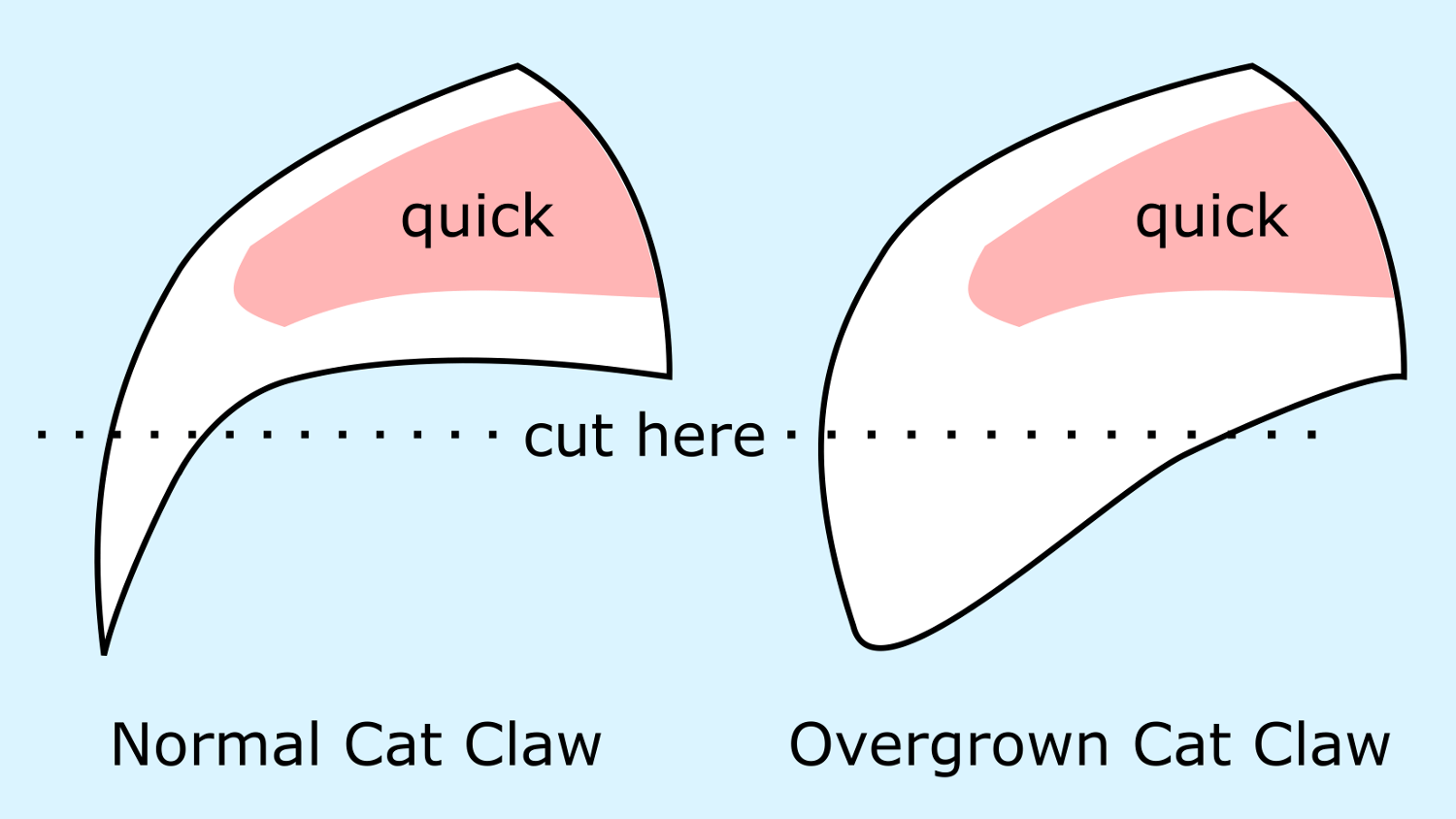 Thick Cat Claws — Kitty Help Desk