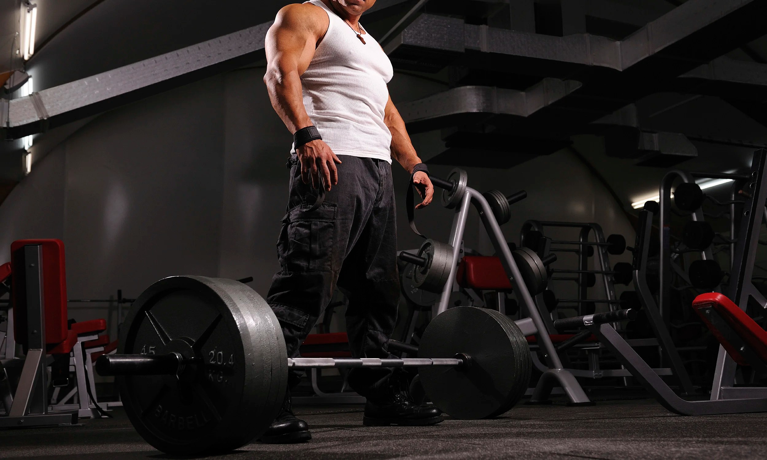 Eccentric Isometrics The Ultimate Way to Strength Train