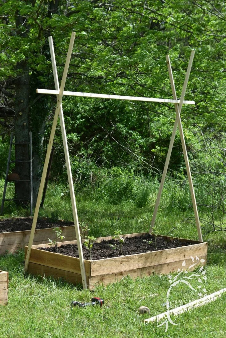 Easy DIY String Tomato Trellis Rocky Hedge Farm Simple Living From