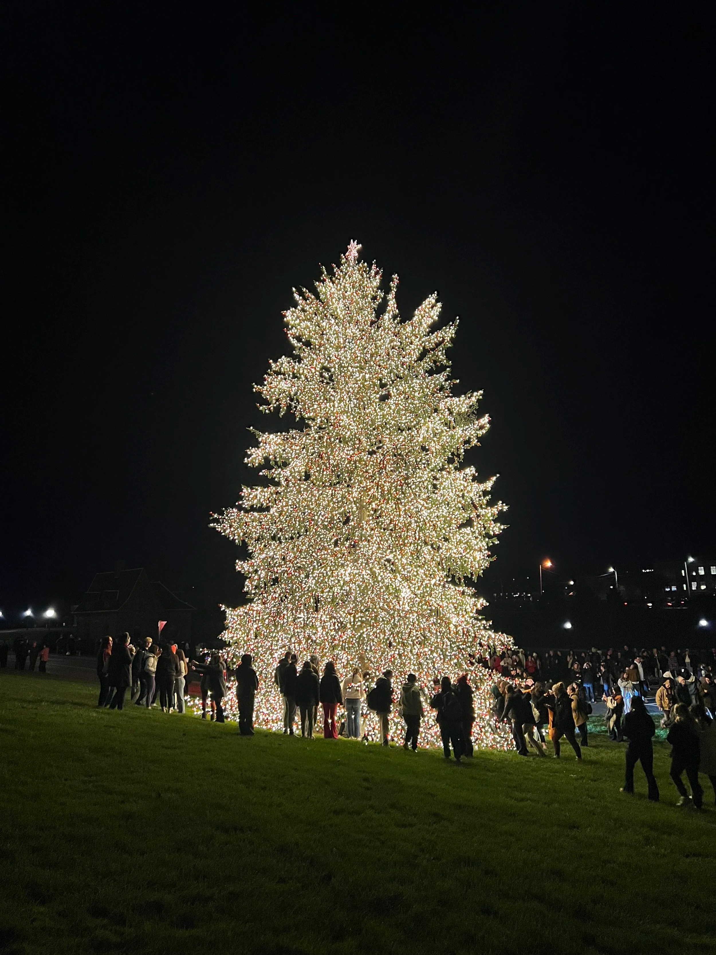 Marist College Annual Christmas Tree Lighting 2022 — MARIST CIRCLE