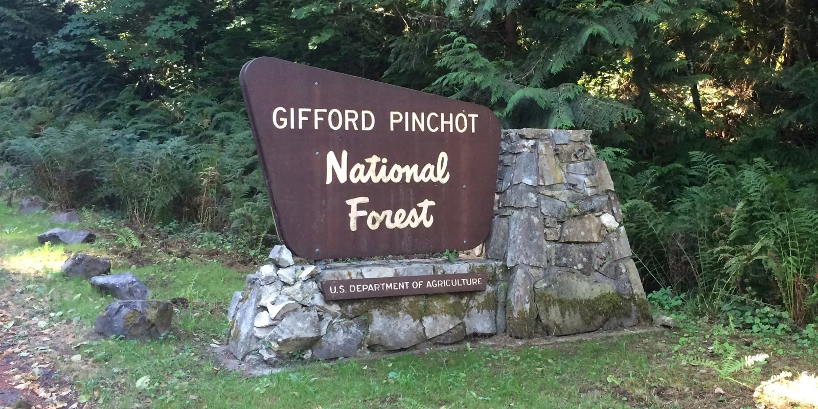 Gifford Pinchot National Forest — WC STUDIO