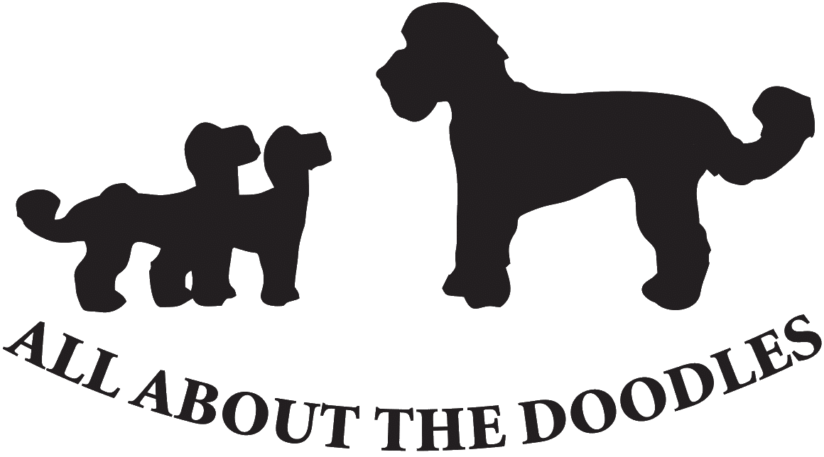 Why Are Dogs Obsessed With Squeakers