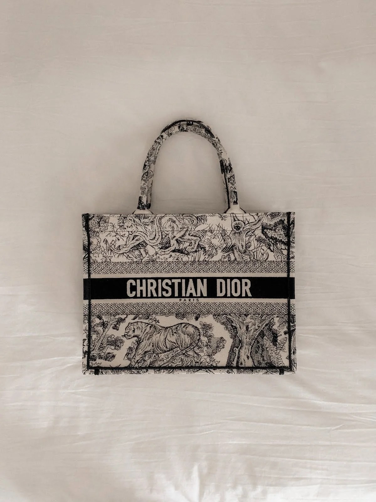 Bag Review: Christian Dior Small Book Tote — SHANNEL VIDALLON