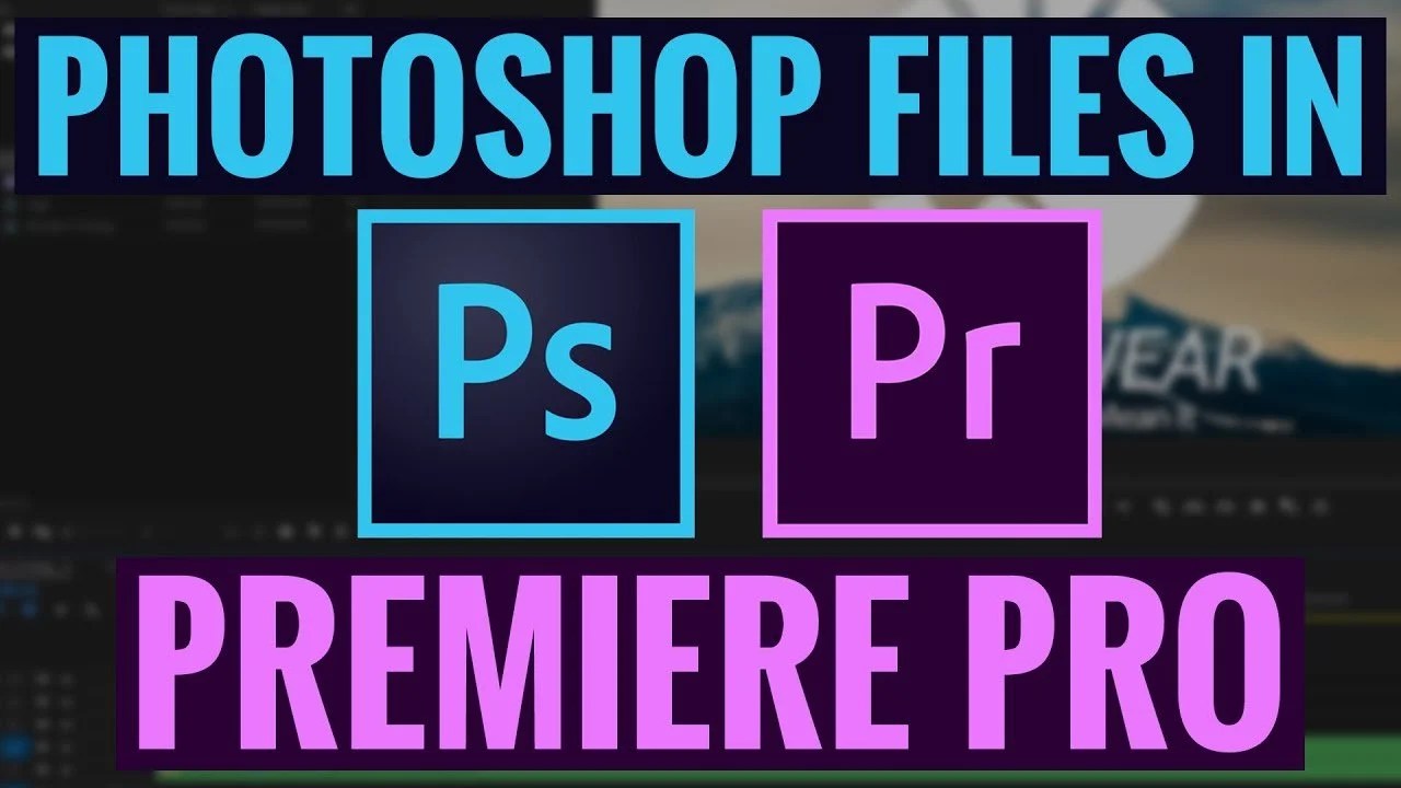 How To Use Files in Premiere Pro CC Tutorial — Alli and Will