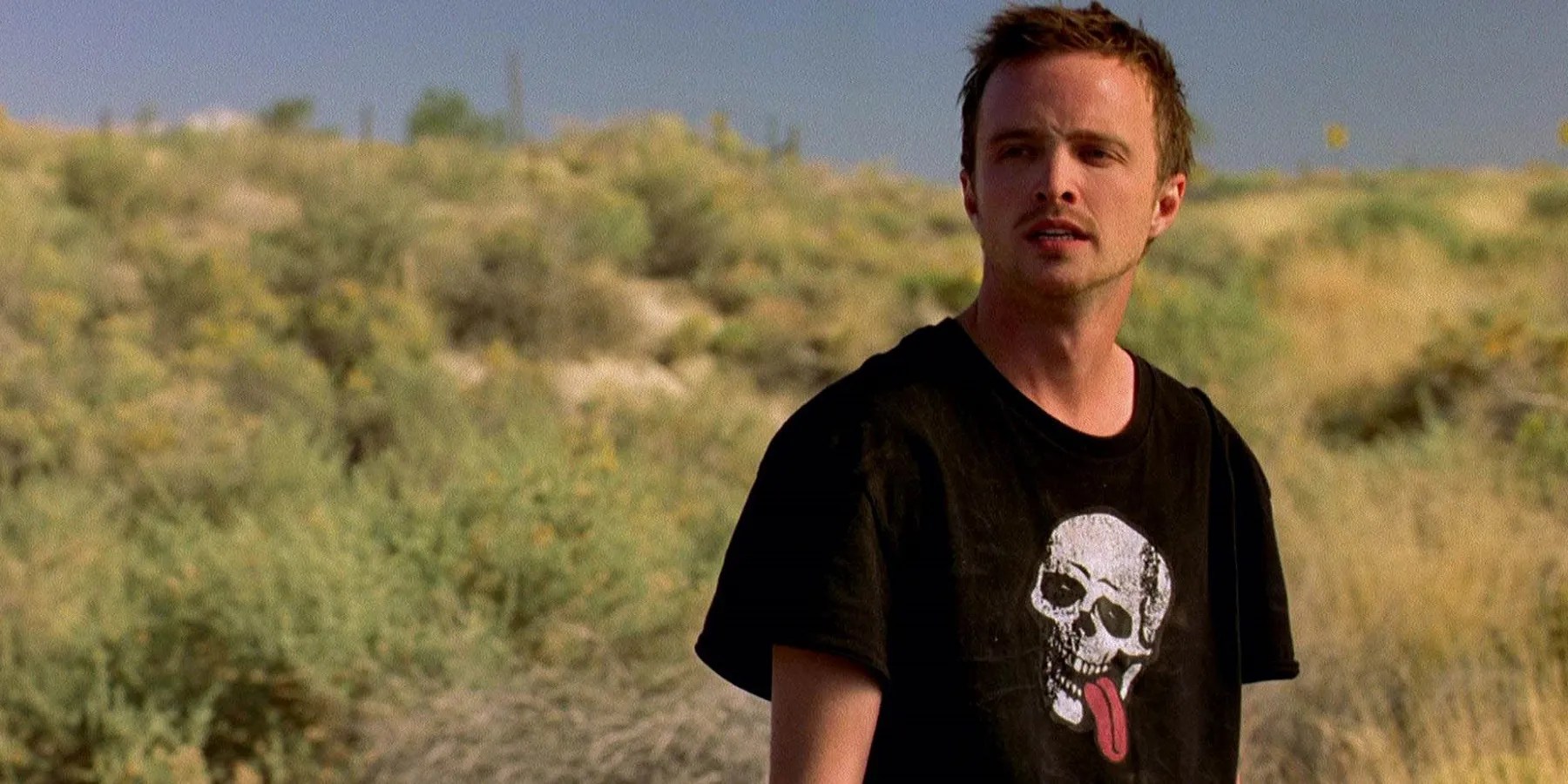 Breaking Bad Jesse's 15 Funniest Quotes