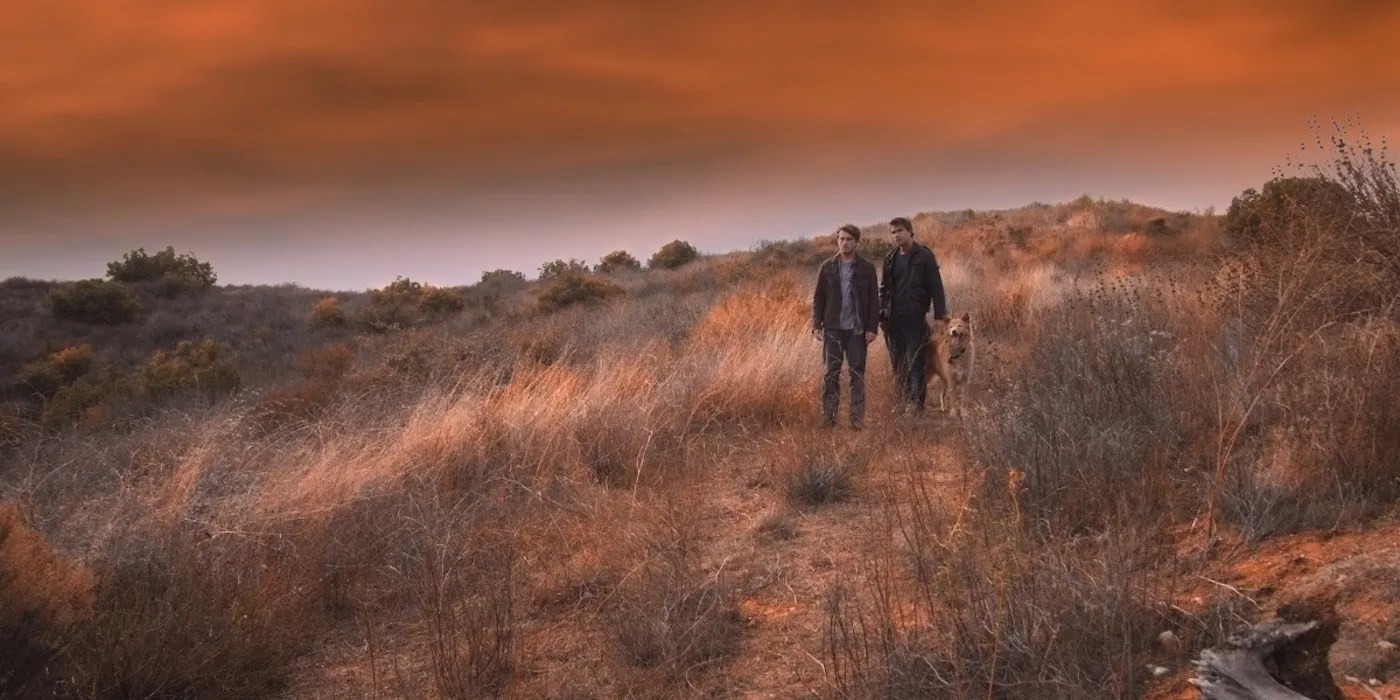 Trippy Movies Available On Every Streaming Service