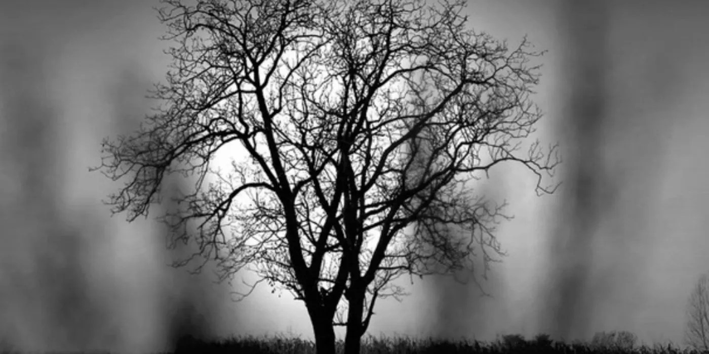 Every Amazon Original TV Show