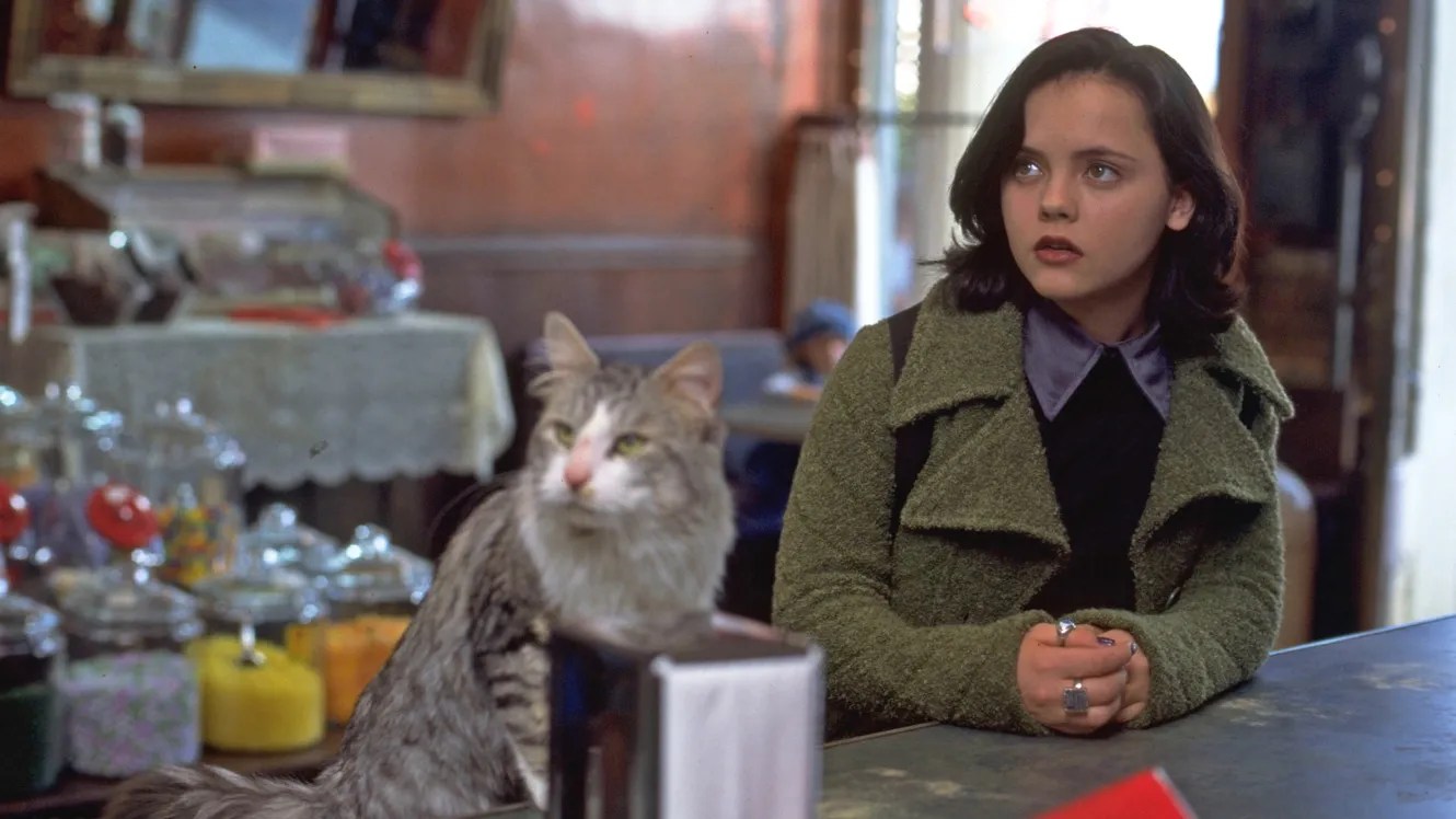 10 Best Cat Movies To Watch If You Loved Stray