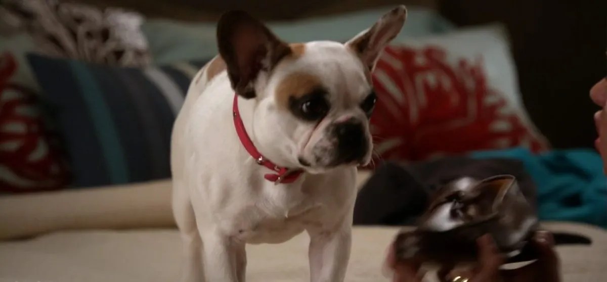 Secrets Behind Modern Family