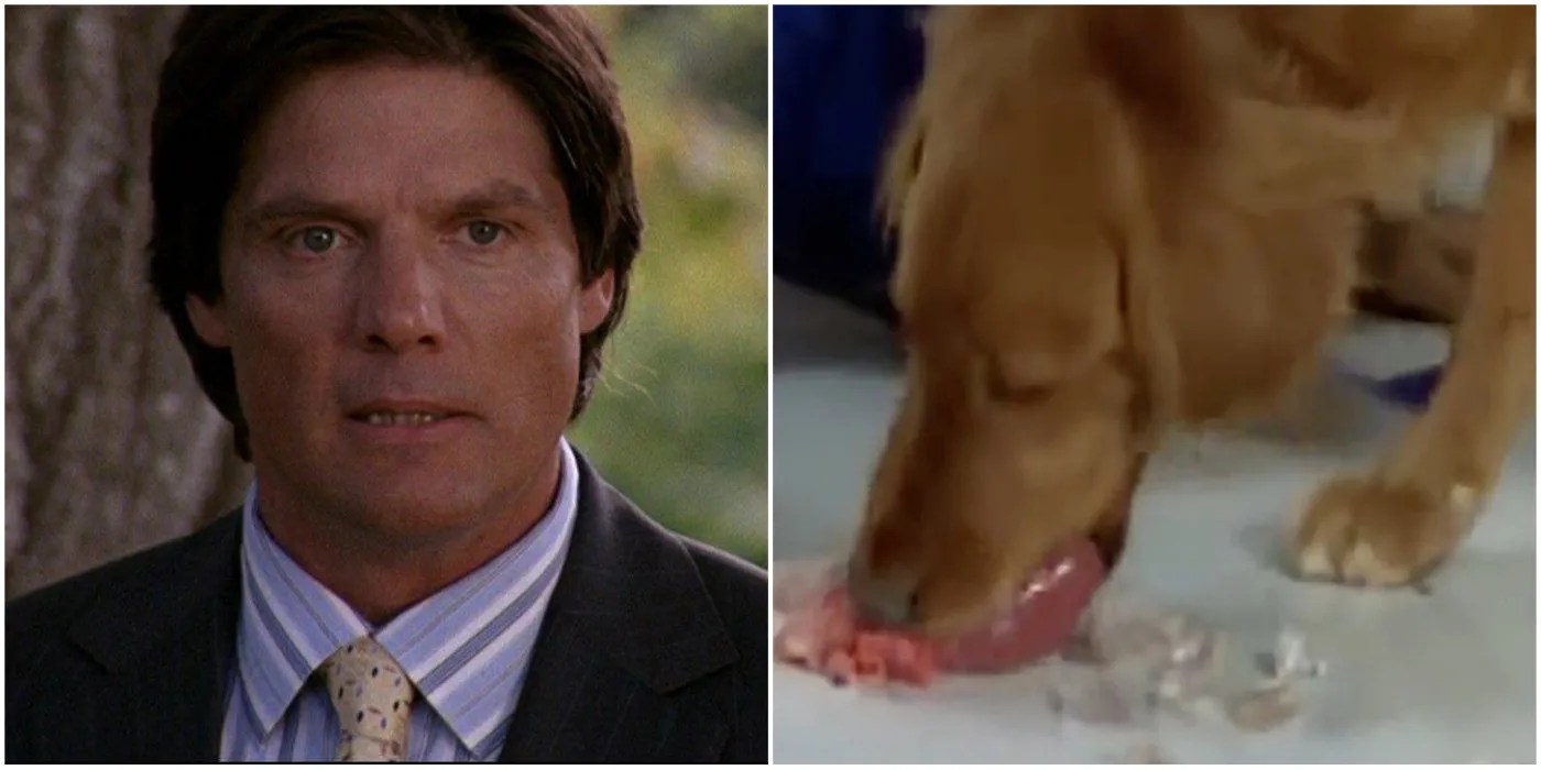 One Tree Hill 10 Things That Haven’t Aged Well