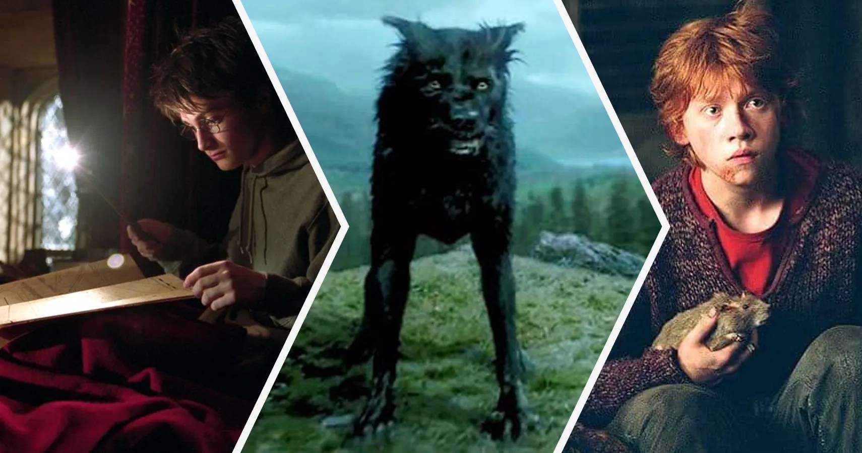 Harry Potter 15 Things About The Marauders That Make No Sense