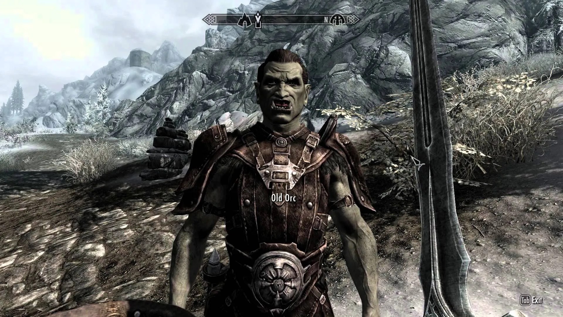 The Best Orc Build in Skyrim