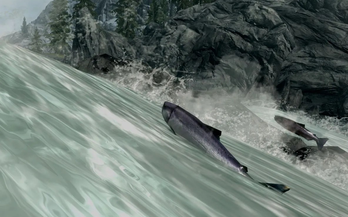 Skyrim Fishing Guide Best Rods, Rare Fish, & Maps