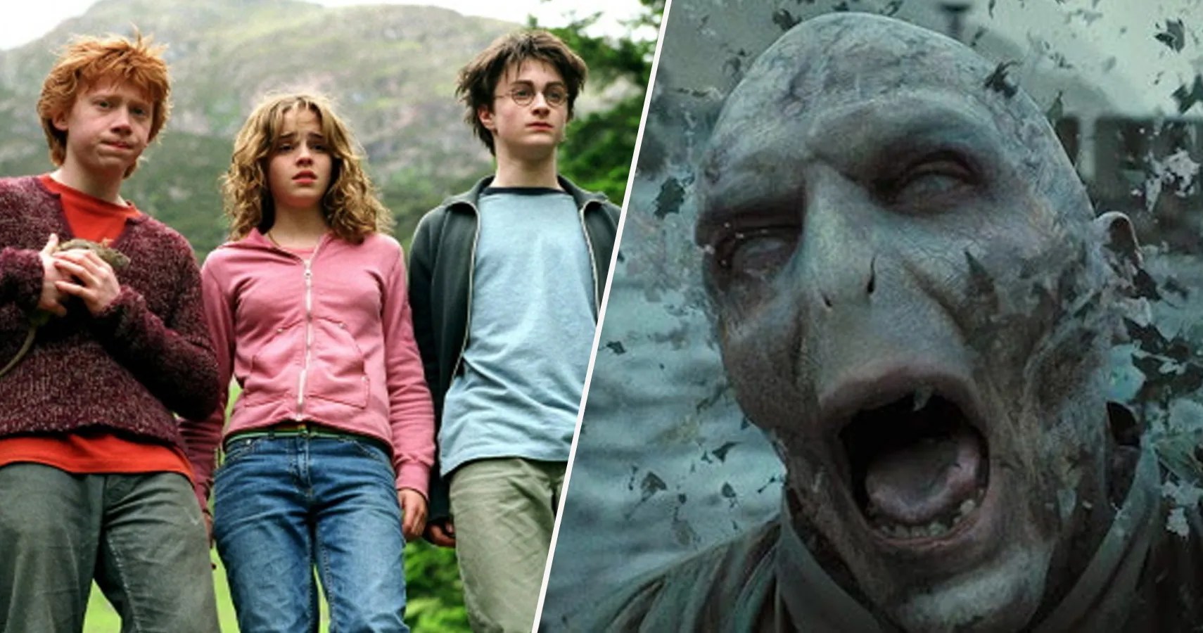 Harry Potter 20 Strange Things About Wizard Anatomy Fans