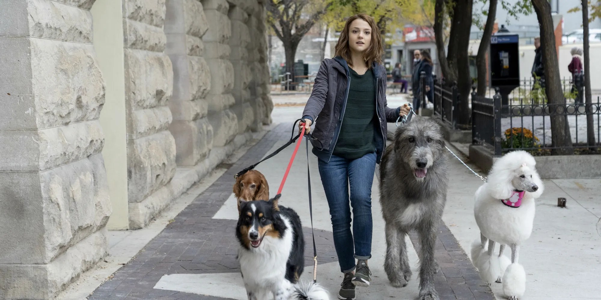 A Dog's Journey Trailer & Posters Preview A Dog's Purpose Sequel
