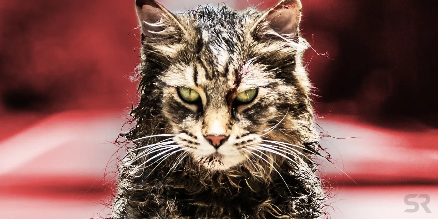 Pet Sematary 2019's Leo The Cat Passes Away