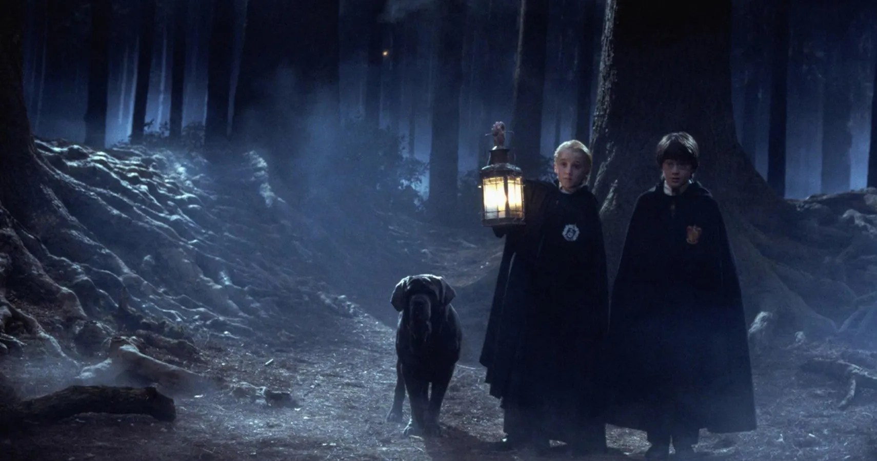Harry Potter 10 Things About the Forbidden Forest The Books Leave Out
