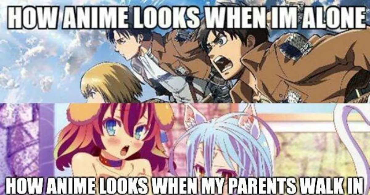 10 Absolutely Hilarious Anime Memes