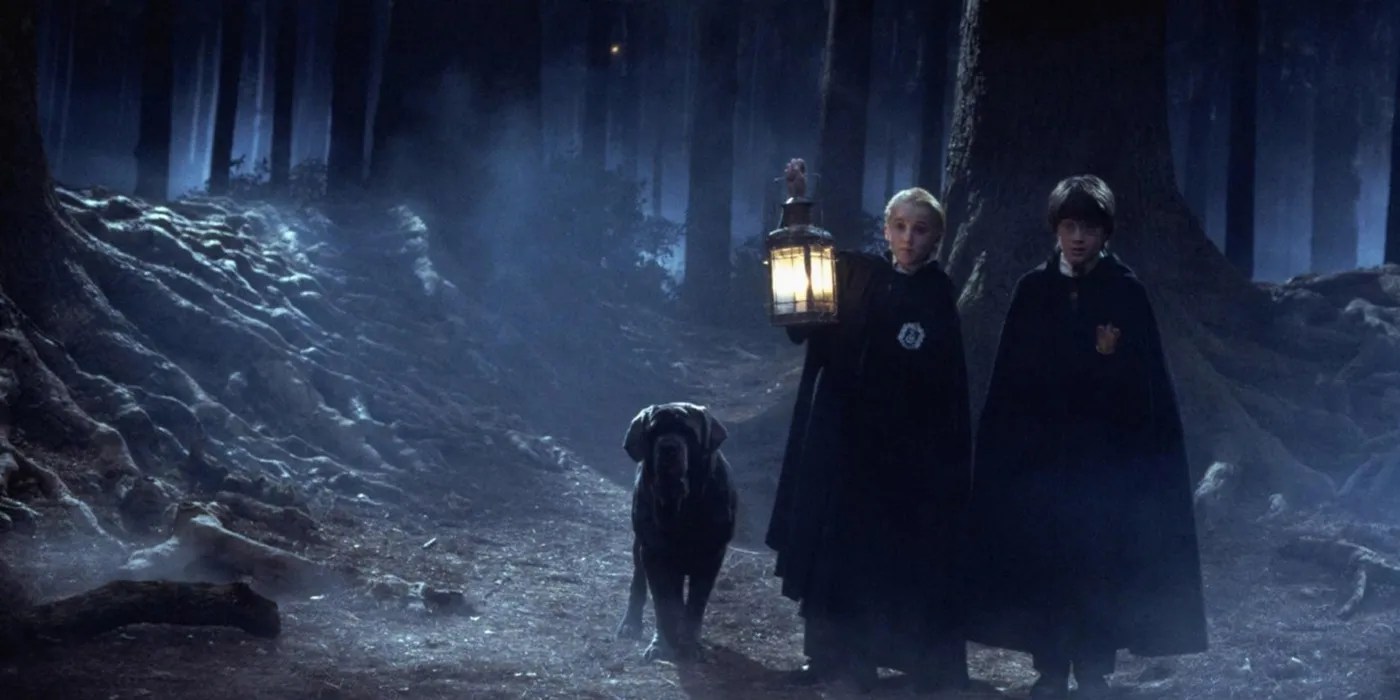 Harry Potter 10 Hidden Details You Missed About The Forbidden Forest