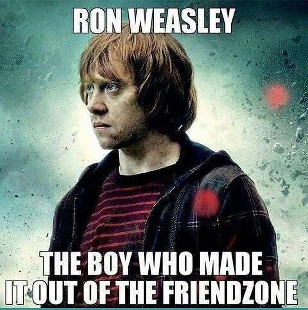 Harry Potter 10 Hysterical Ron Weasley Logic Memes(04)