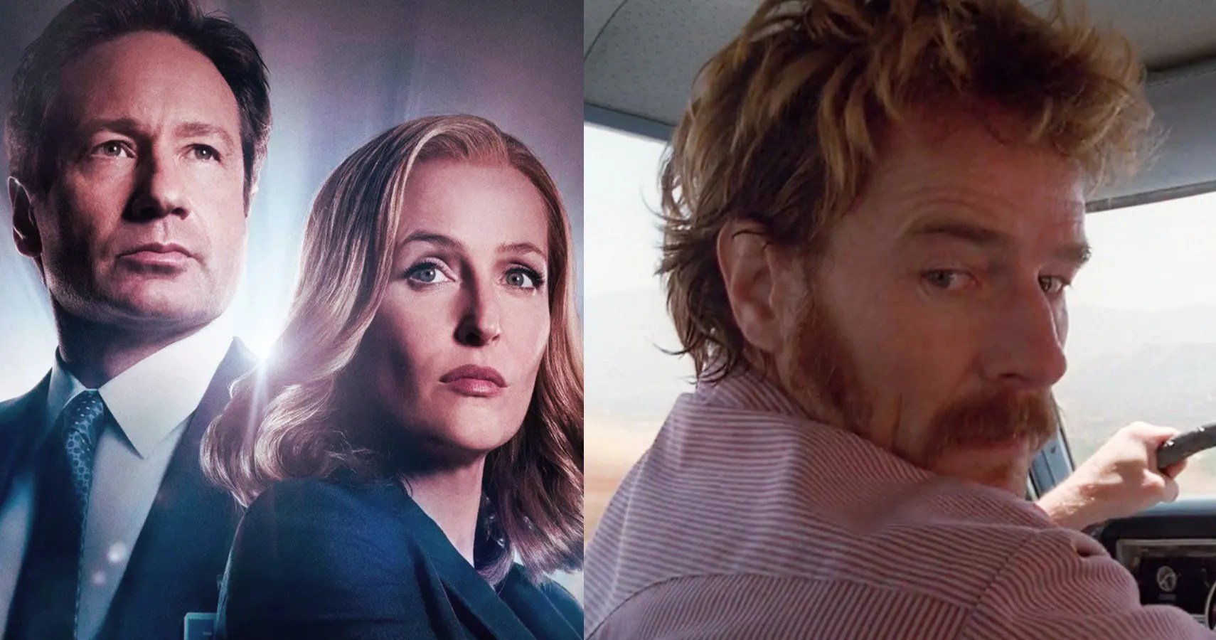 The 10 Best Celebrity Cameos On The XFiles