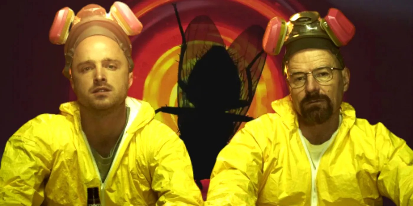 Breaking Bad's Fly Explained What The Divisive Episode Means