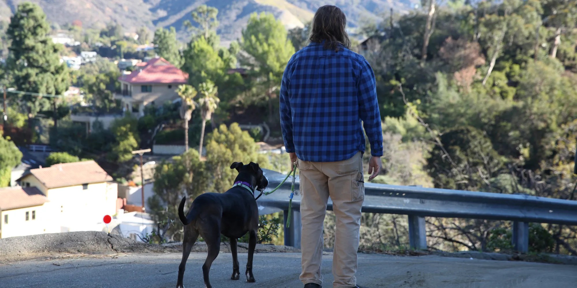 Interview Dog Impossible's Matt Beisner