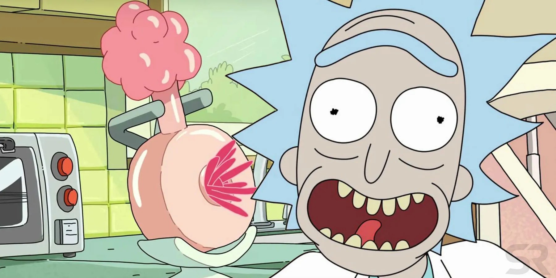 Rick & Morty: What A Plumbus Can Actually Do