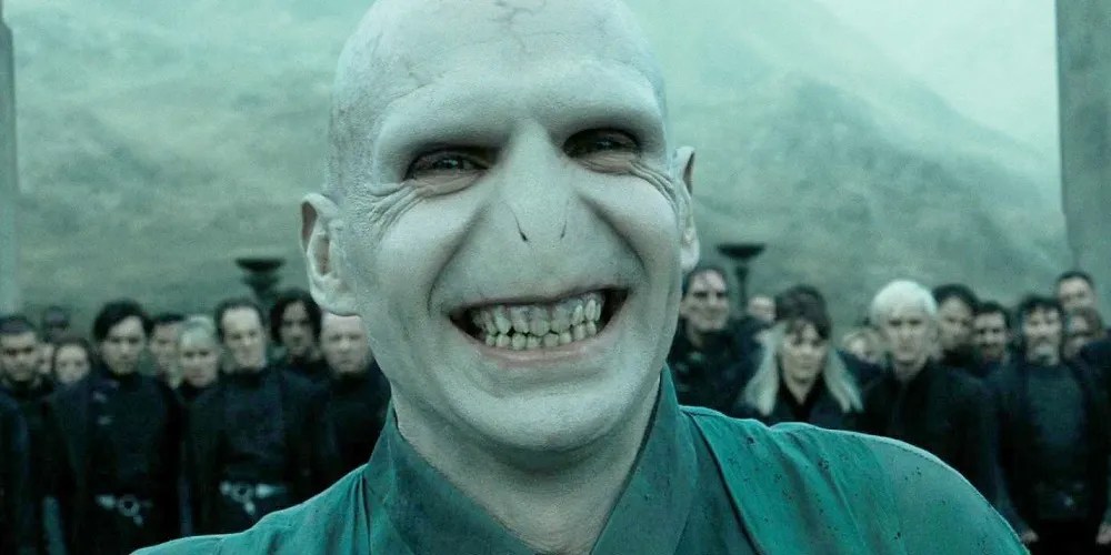 Harry Potter 10 Hilarious Voldemort Memes Only True Fans Will Understand