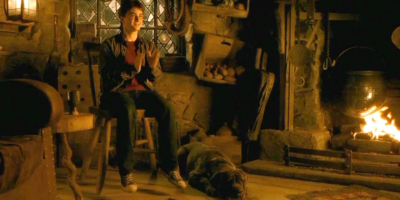 Harry Potter What Happened To Fang After The Series Ended