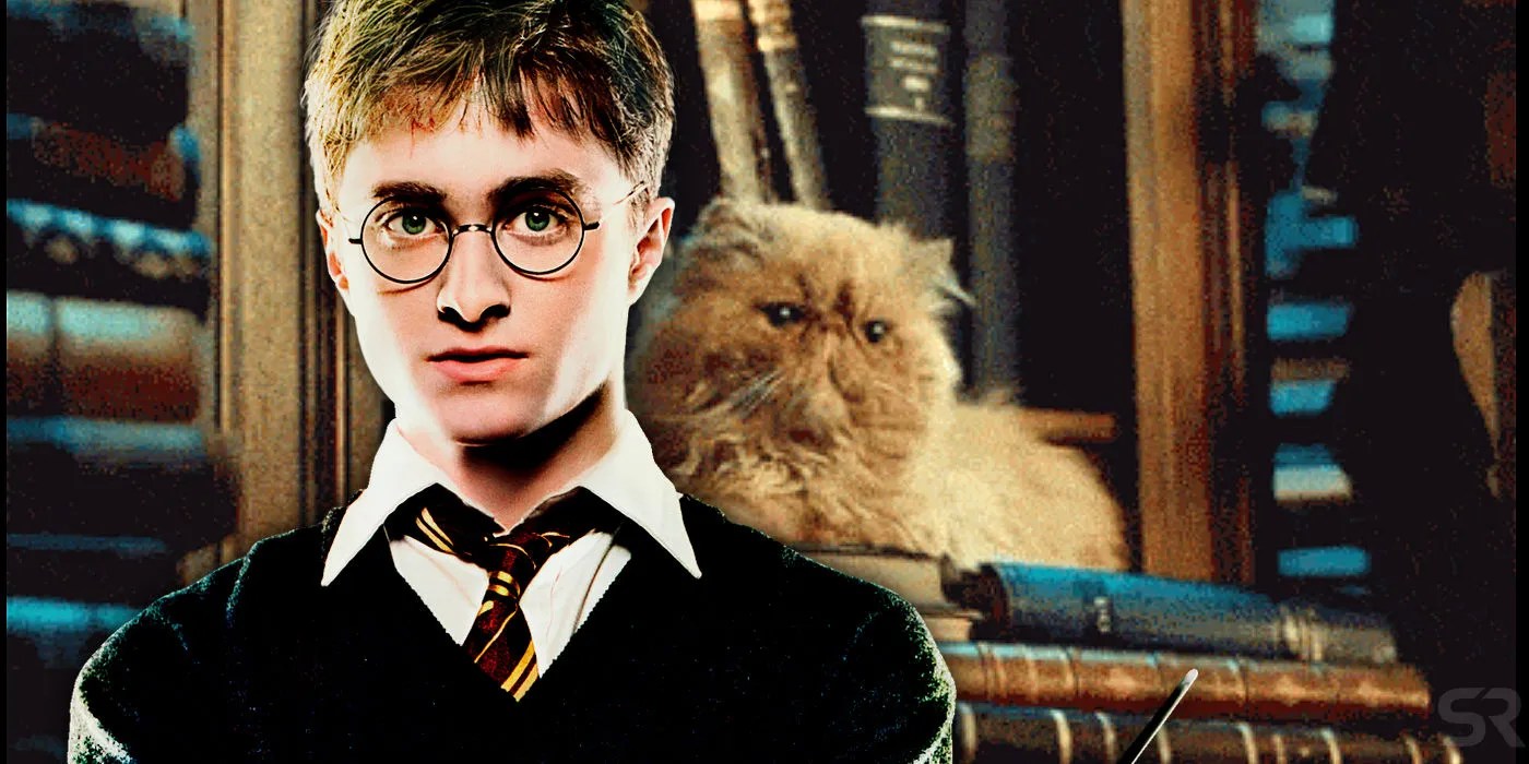 Harry Potter Theory Hermione’s Cat Belonged To The Potters