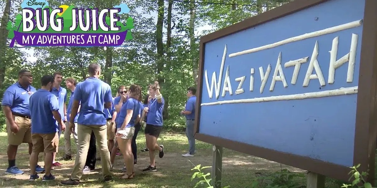 10 Best Disney Shows Of All Time, According To IMDb