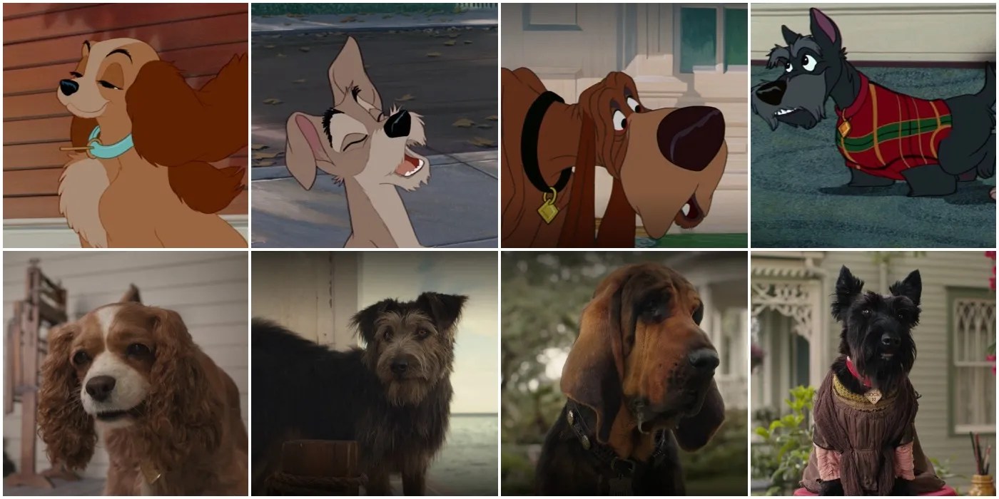 Lady And The Tramp 5 Things The LiveAction Changed (& 5 Things They Kept The Same)