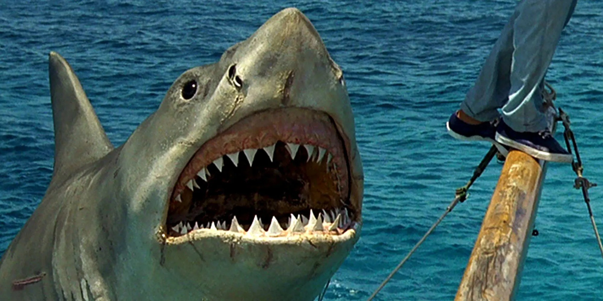 Sinopsis Film Jaws Tayang Sabtu (14/12/2019) di Big Movies Global TV