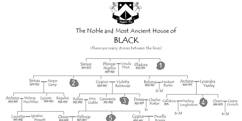 Harry Potter 10 Things the Movies Leave Out About the Noble House of Black