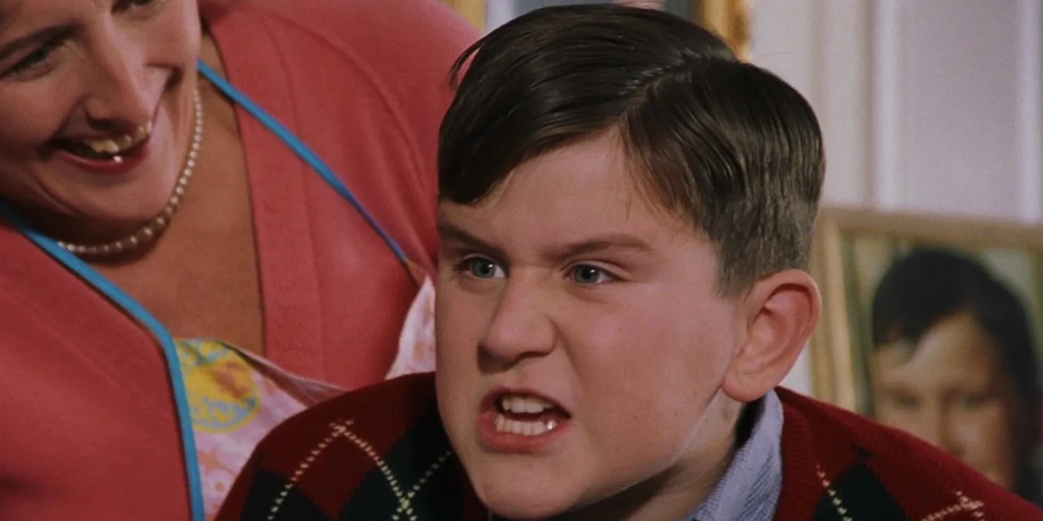 Harry Potter The Dursleys' 10 Best Quotes