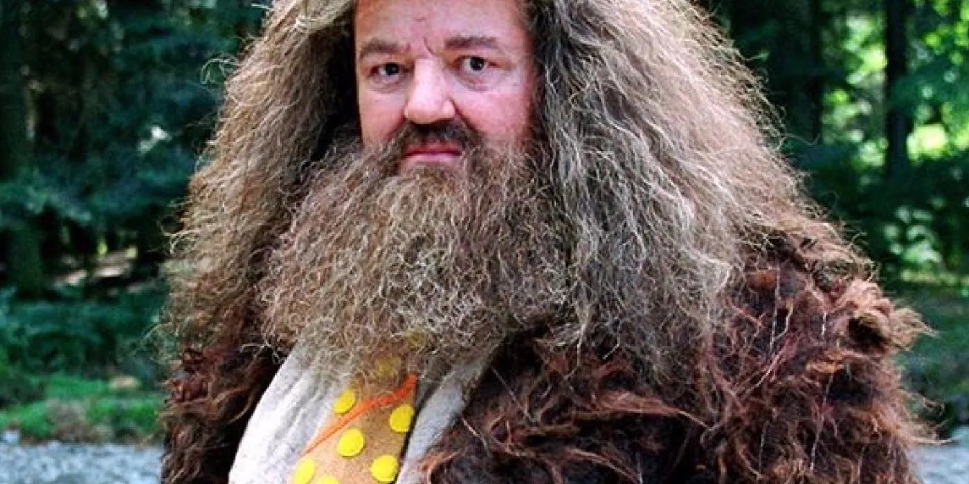 Harry Potter 10 Hidden Details About Hagrid's Costume