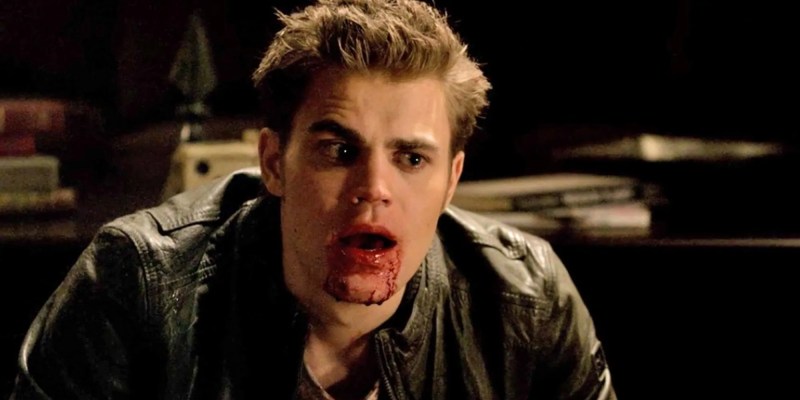 stefan salvatore net worth - Ilustrasi 3