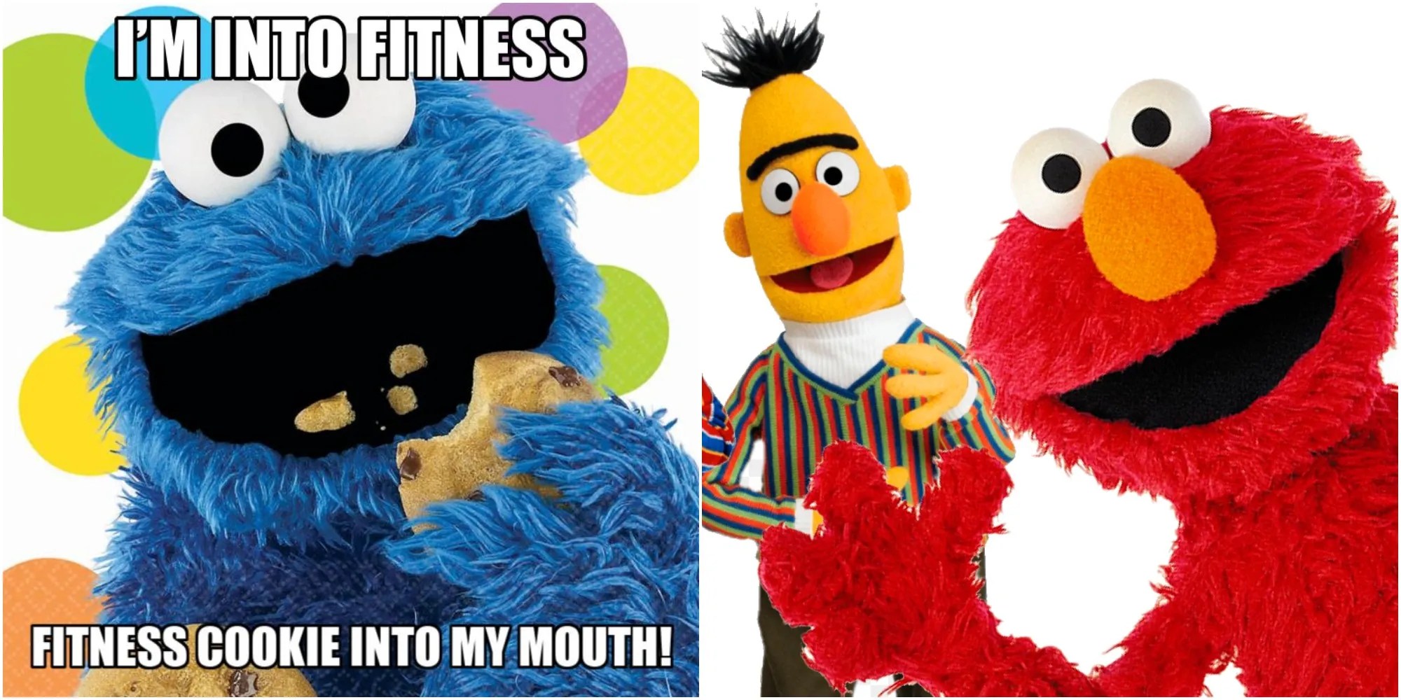 Sesame Street Meme The Count