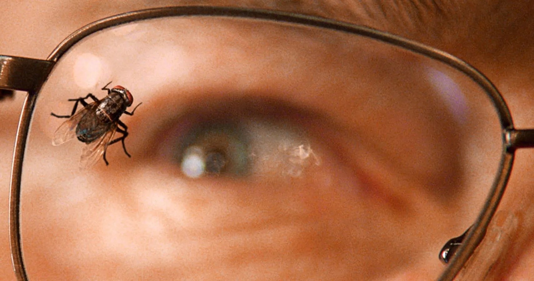 Breaking Bad's WorstRated Episode Is "Fly" Why It's Actually Great