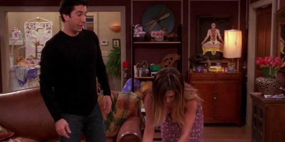 Friends 10 Hidden Details About Ross Geller's Apartment