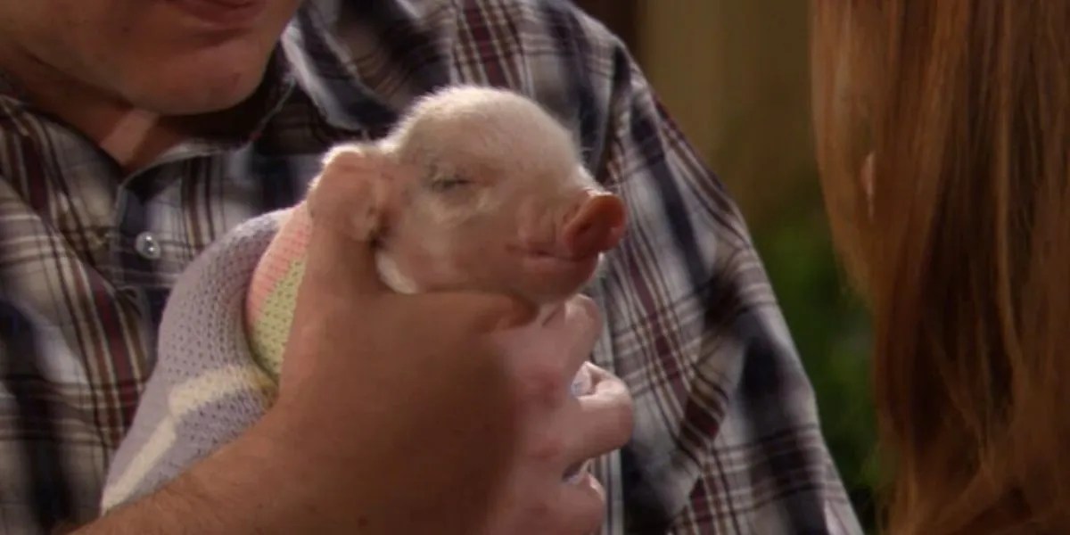 How I Met Your Mother 10 Biggest Ways Lily Changed From Season 1 To