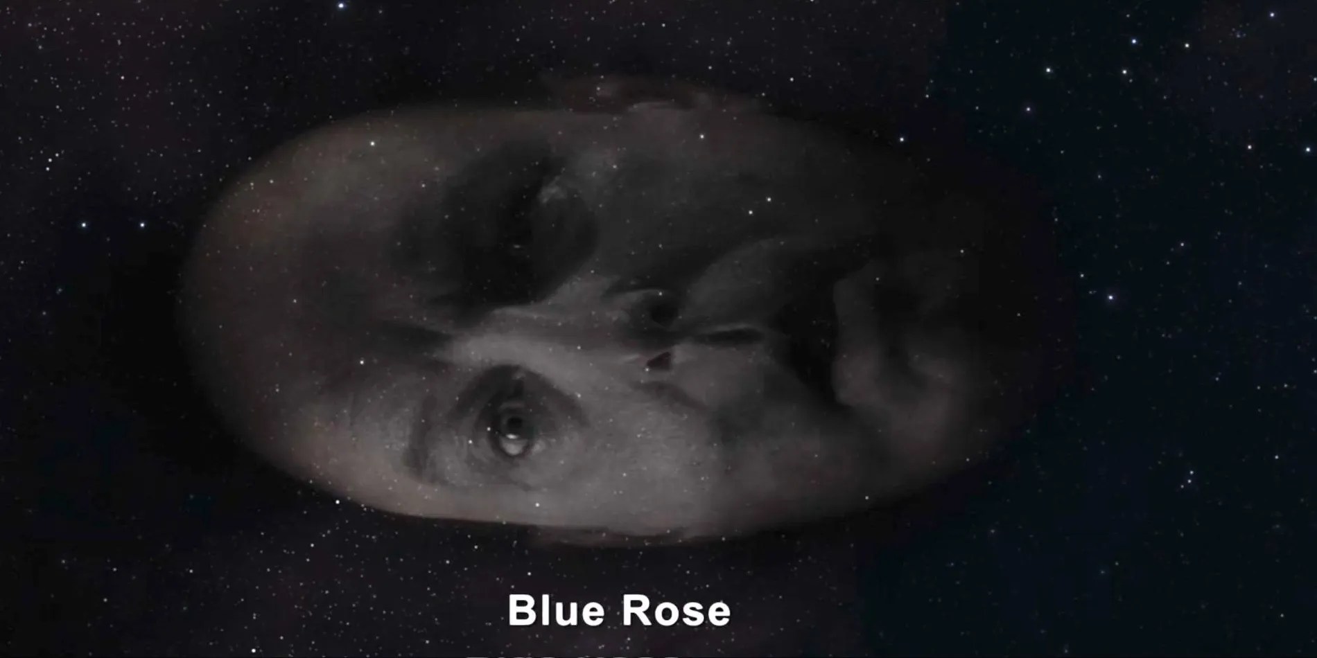 Twin Peaks The Return Major Briggs Role & Blue Rose Explained