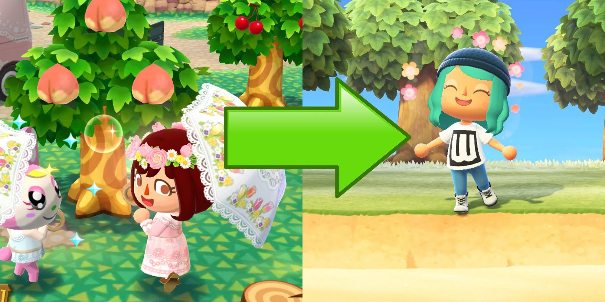 Animal Crossing New Horizons How to Obtain Special Items From Pocket Camp