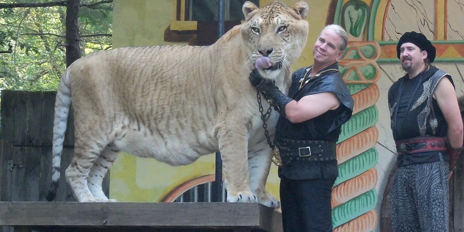 Tiger King 10 Most Amazing Outfits Not Worn By Joe Exotic